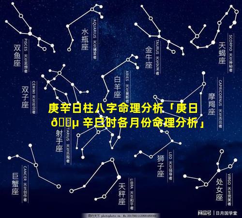 庚辛日柱八字命理分析「庚日 🐵 辛巳时各月份命理分析」